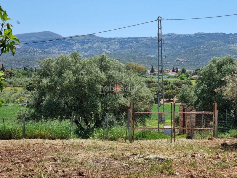 Foto d3bd9005-69e1-40e1-8b0c-b52b3dca0932. Terreno residenziale in Casco Histórico Ronda