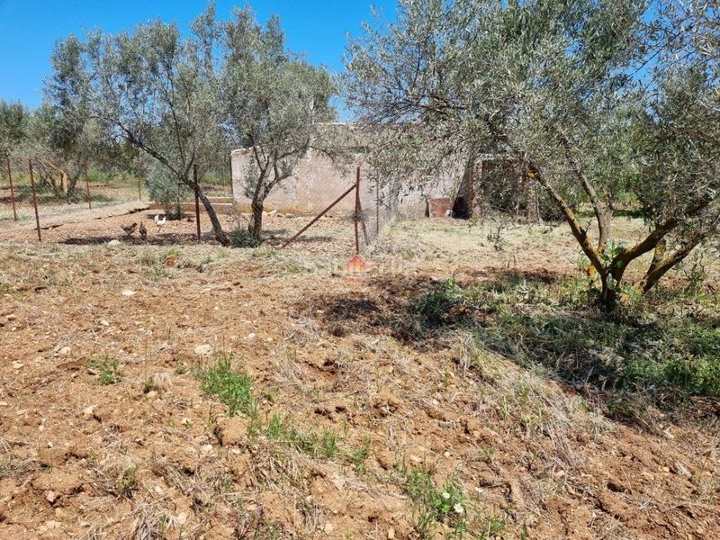 Foto ec8963c2-462a-4c65-93e6-0ea4a0c82538. Terreno residenziale in Casco Histórico Ronda