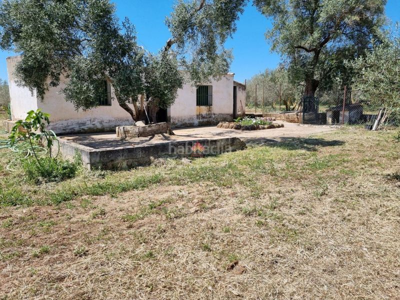 Foto eed0eae3-32af-4915-a0e9-a3182245db01. Terreno residenziale in Casco Histórico Ronda
