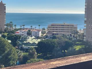 Apartment in Playapark