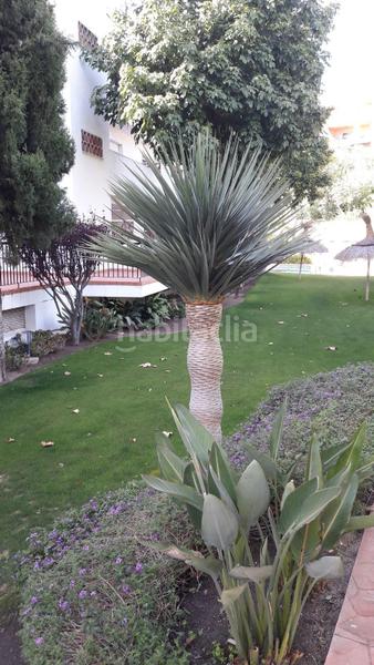 Foto f11223ed-0edd-4755-a84b-4aa7c5f44091. Attique avec piscine dans Nueva Torrequebrada Benalmádena