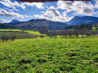Terreny residencial a Abadiño. Terrenos rural llano, de 7.662 m2, a la venta en abadiño