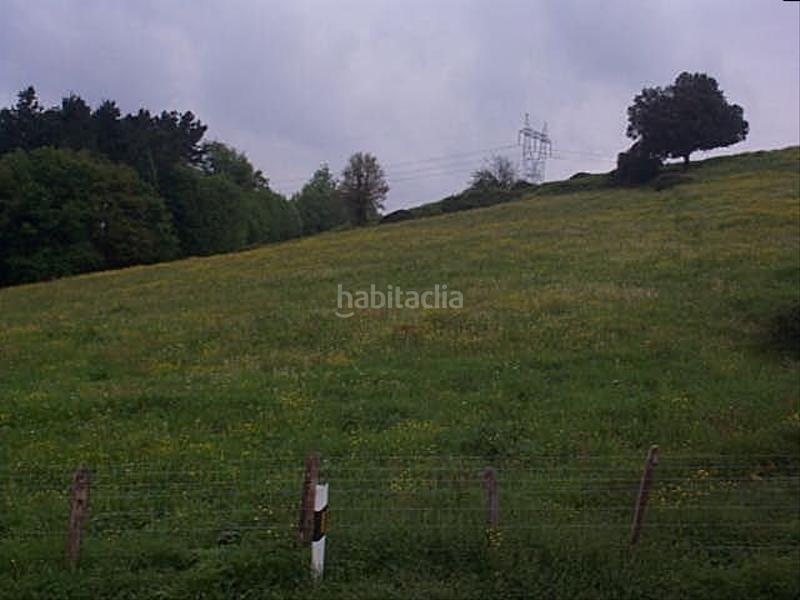 Foto 53f98125-9d7c-4248-904c-99b35c3d17e9. Finca rústica a Zaldibar