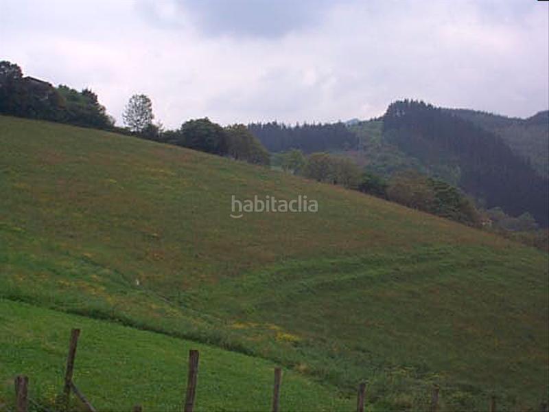 Foto ef9789ff-341e-466d-baab-ca9174ec4822. Finca rústica a Zaldibar