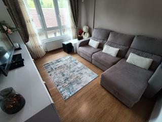 Pis a Zaldibar. Vivienda de dos habitaciones, en venta, en zaldibar