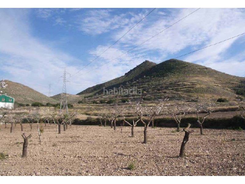 Foto 8aa417f2-5c62-40eb-a291-aa866d5afa78. Finca rústica a Campo Nubla Cartagena