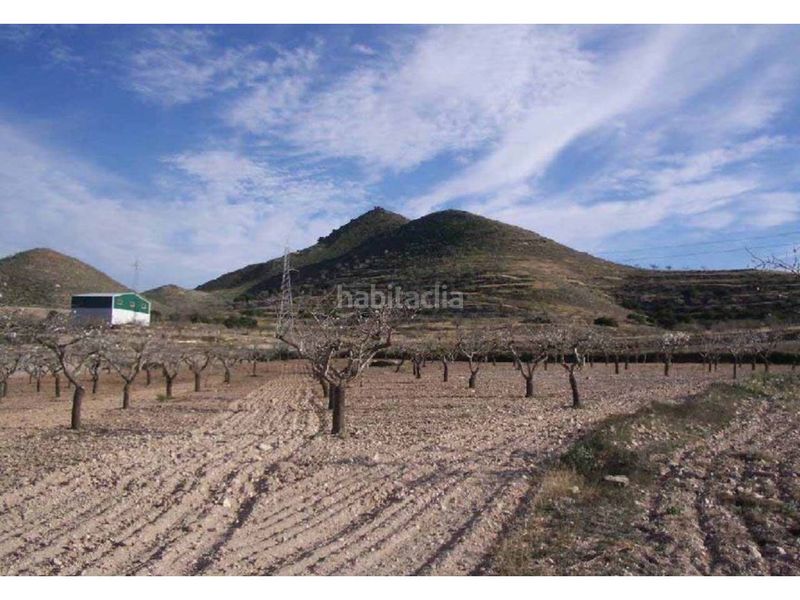 Foto ac9f5390-31b8-4b0d-bd70-d0196dc01943. Finca rústica a Campo Nubla Cartagena
