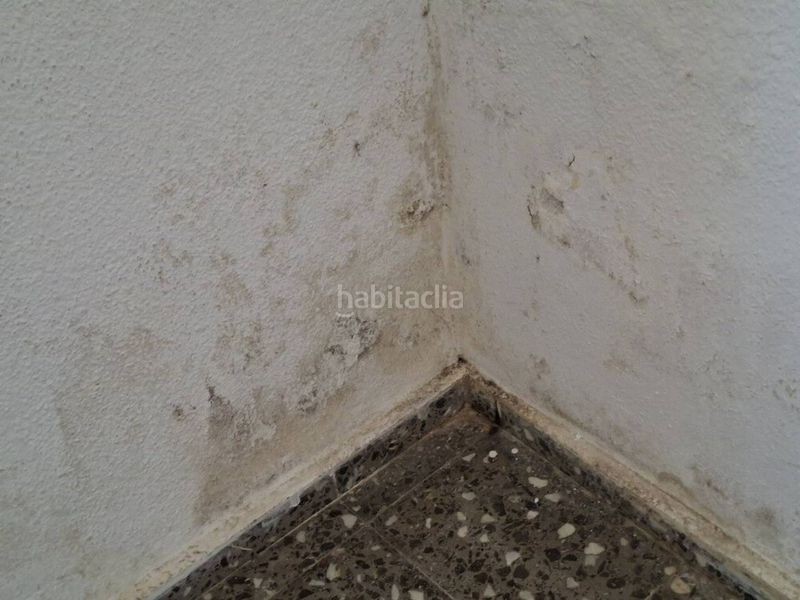 Foto a846f866-09b7-48e5-a352-282e06f01a04. Pis a Ensanche Cartagena