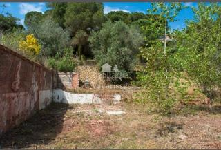 Terreny residencial  Carrer de l'esquirol. Oportunidad terreno de 1100m2