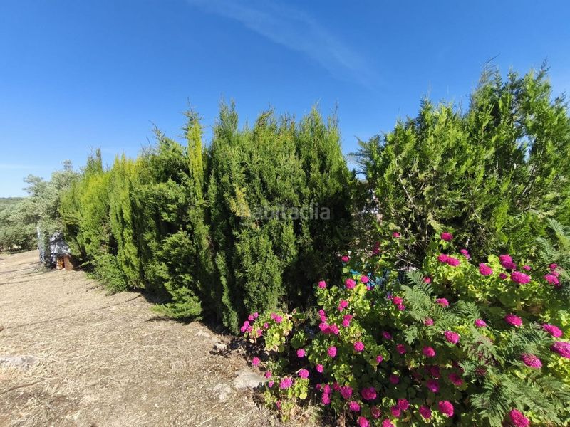 Foto f52da421-ccfe-4b0c-a56c-3426e62f07ed. Masia amb calefacció aparcament piscina a Colmenar