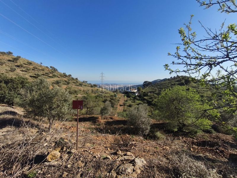 Foto 5a97ffa9-4864-4dca-8aa6-f67e3c41590e. Finca rústica a Residencial Jardín Botánico Málaga