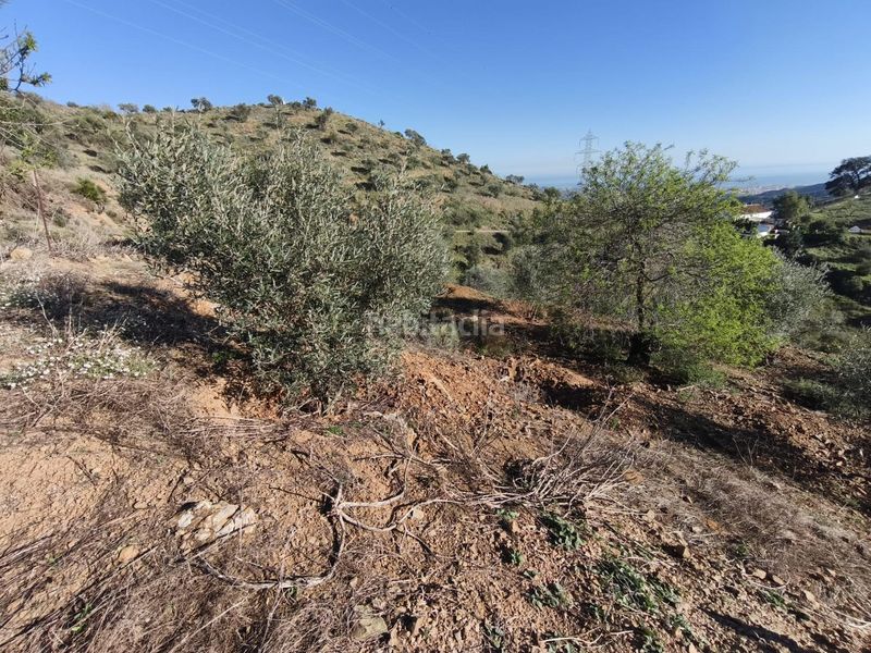Foto c9cca102-e39f-4b09-97fe-1cbe3fc70777. Finca rústica a Residencial Jardín Botánico Málaga
