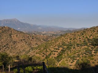Rural plot in Colmenar. Venta finca con viñedos los lagares
