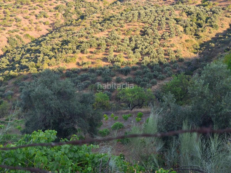 Foto 4f371743-c060-41ed-8048-11558edb82c0. Finca rústica a Colmenar