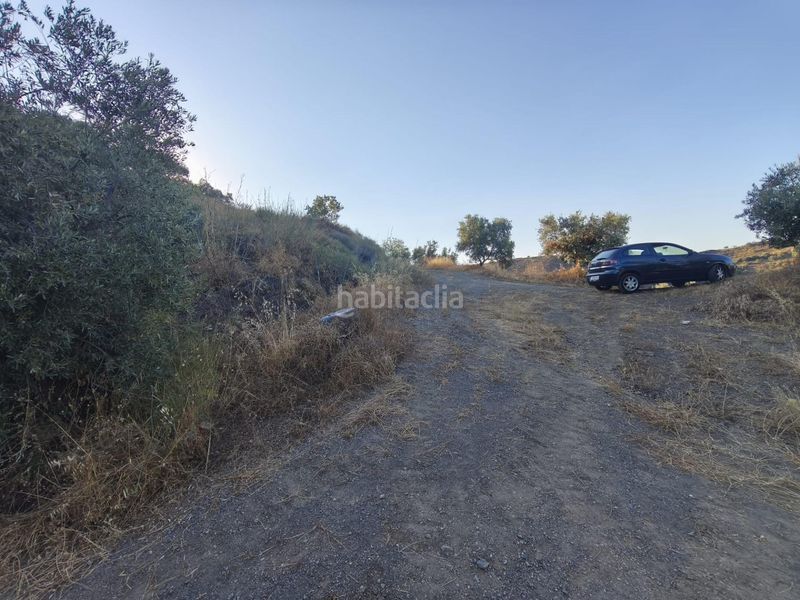 Foto c645bdba-e571-45c9-97e8-16fb8f95e19c. Finca rústica a Colmenar