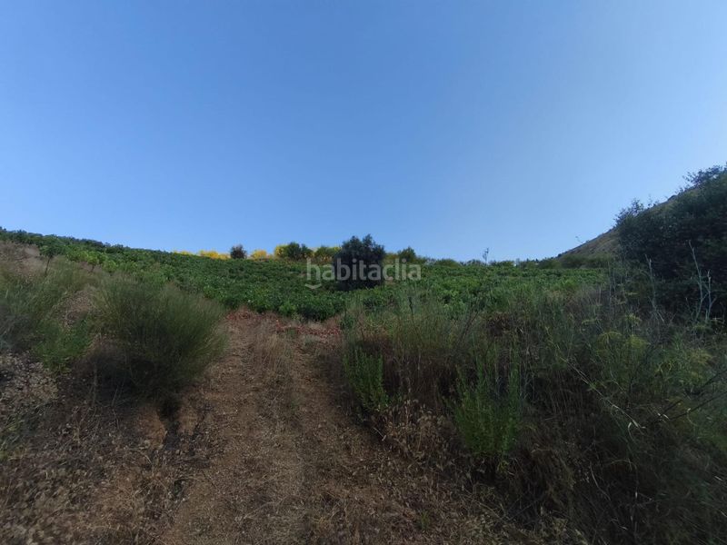 Foto c8a19eb6-646c-431d-b1f0-451bb2825265. Finca rústica a Colmenar