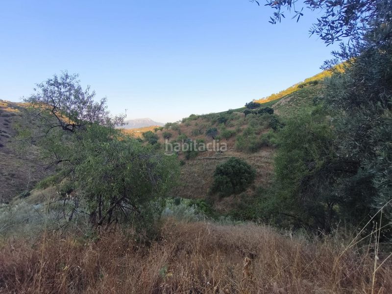 Foto d9a2b81d-da62-4a0a-9ebd-e39bfb7486b8. Finca rústica a Colmenar