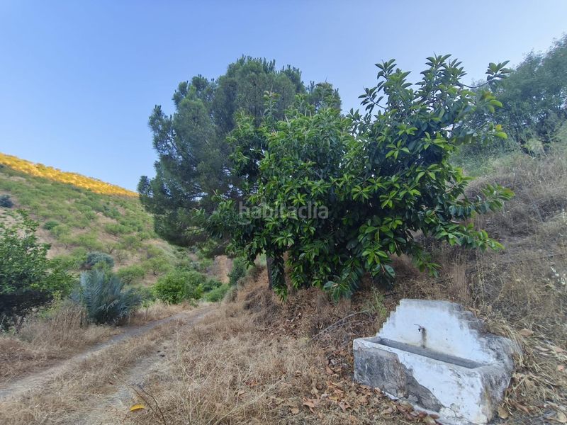 Foto db50fd46-69dc-4771-b254-7e8b3fee0571. Finca rústica a Colmenar