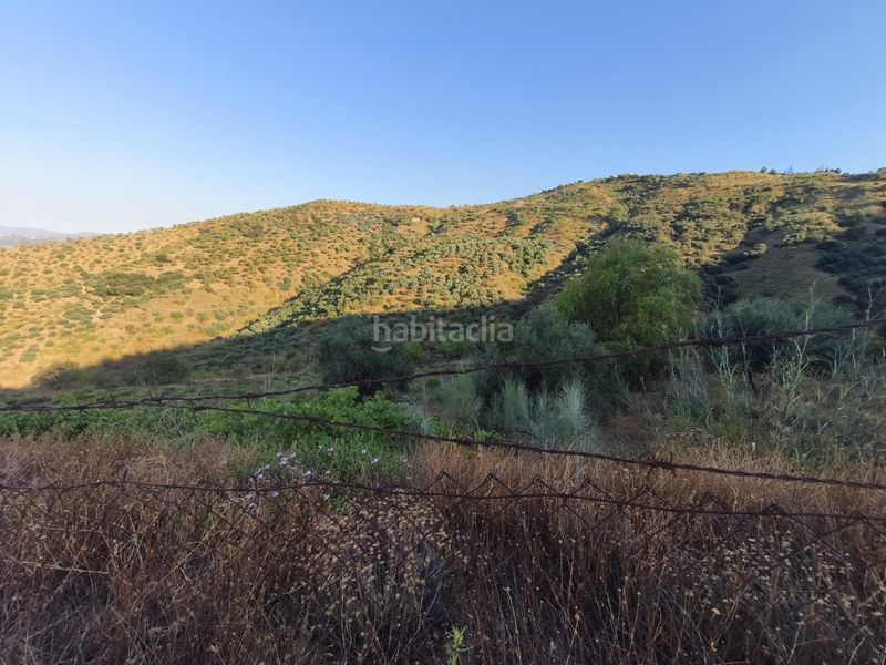 Foto fa7d7b67-4eb0-47d4-bab3-84128d53fb74. Finca rústica a Colmenar