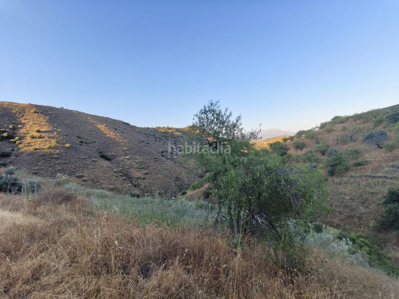 Foto fd102480-c5da-4635-b1a8-a9c5d84c4ff8. Finca rústica a Colmenar