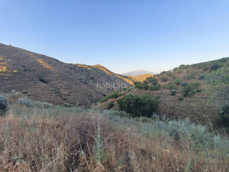 Foto fde54315-5e01-4bbe-a8f5-5b07017ecd6a. Finca rústica a Colmenar
