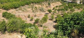 Finca rústica a Cártama. Parcela rustica  en doña ana
