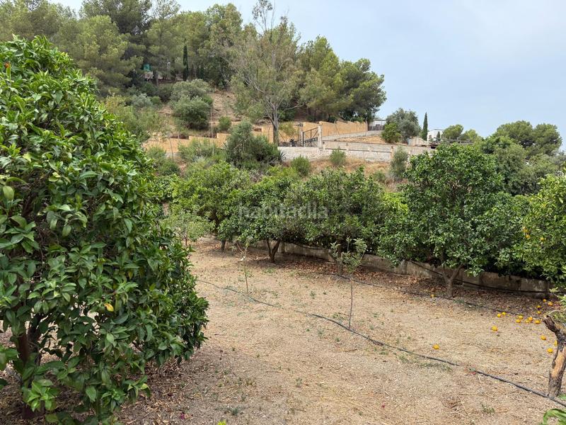 Foto e0f04d46-4282-431c-a821-77c9cdeff9db. Xalet amb aparcament piscina a Limonar Málaga