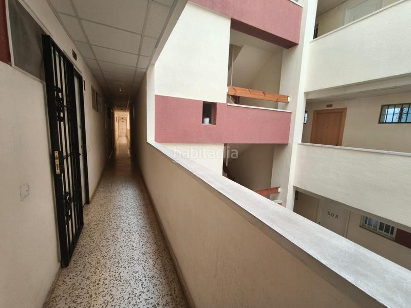 Foto 8ccd285a-1c21-4cbb-b2e2-9dd52437a197. Estudi amb piscina a Parque de la Paloma Benalmádena