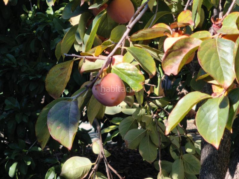 Foto 22f14c3e-6032-46b8-bf12-7a3b4f4c69fb. Xalet amb calefacció aparcament piscina a El Romeral-Peñón de Zapata Alhaurín de la Torre