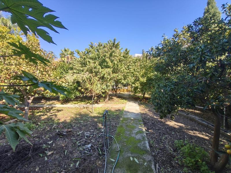 Foto 65c60c6f-5c9f-49fe-8b22-b784cbd066fa. Xalet amb calefacció aparcament piscina a El Romeral-Peñón de Zapata Alhaurín de la Torre