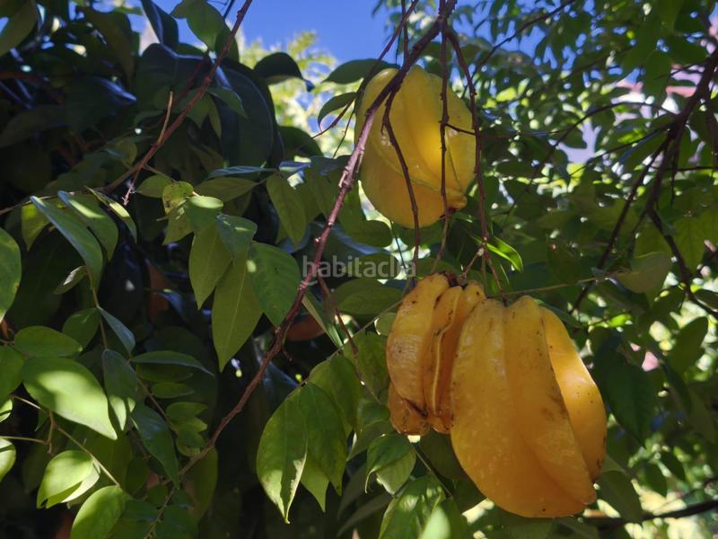 Foto 81b3a569-07f6-4310-97d8-738cdd7033af. Xalet amb calefacció aparcament piscina a El Romeral-Peñón de Zapata Alhaurín de la Torre