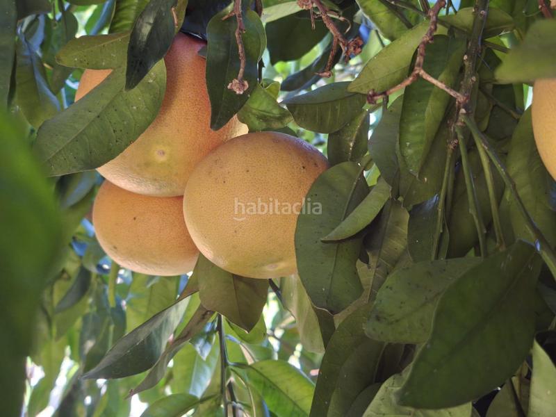 Foto c77039c0-f436-4d72-b052-171f4cbc78a8. Xalet amb calefacció aparcament piscina a El Romeral-Peñón de Zapata Alhaurín de la Torre