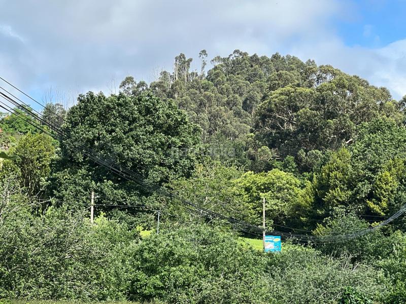 Foto 72d24c3d-681a-46e5-b7f6-ebee4cf29cdf. Terrain résidentiel dans Cabueñes Gijón