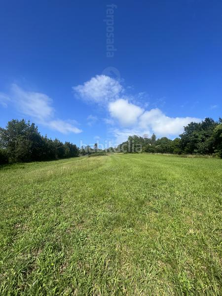 Foto ef8a570e-900f-4a98-ba02-aae9aad9d7ae. Terrain résidentiel dans Cabueñes Gijón