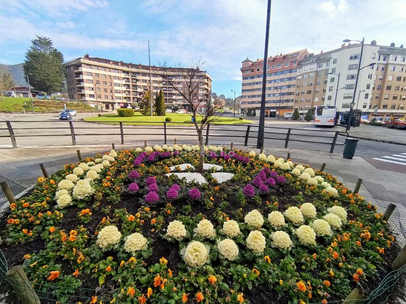 Foto dfa59169-ae94-4d6a-960e-c06f16fa0d0b. Lloguer local comercial a La Florida Oviedo