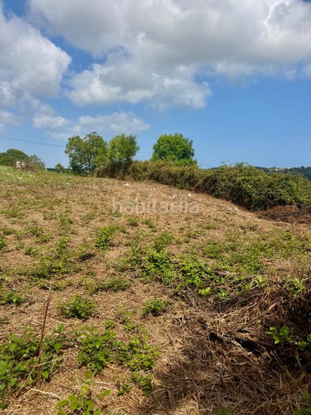 Foto ec0992eb-fc0e-4671-8096-65ffee07514e. Finca rústica a Quintes - Arroes Villaviciosa