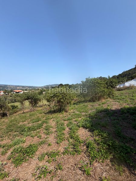 Foto cea370b1-519d-4ecd-89c4-f28d0d87ed49. Finca rústica a Lavandera Gijón