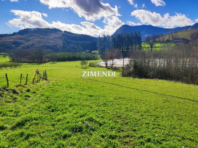 Foto 3db9417e-1336-4f07-8518-9bec3b40c1d6. Finca rústica a Abadiño