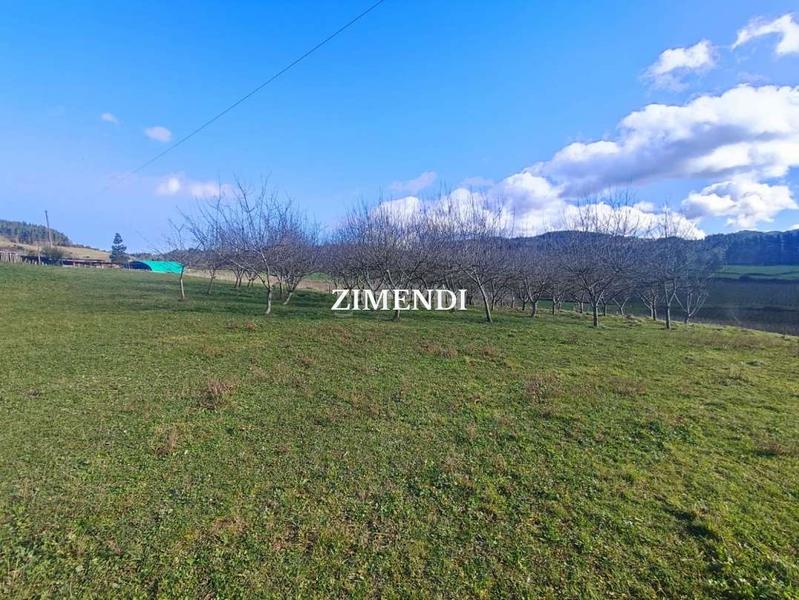 Foto 6b364948-8644-4650-8726-074aedd1bc0b. Finca rústica a Abadiño