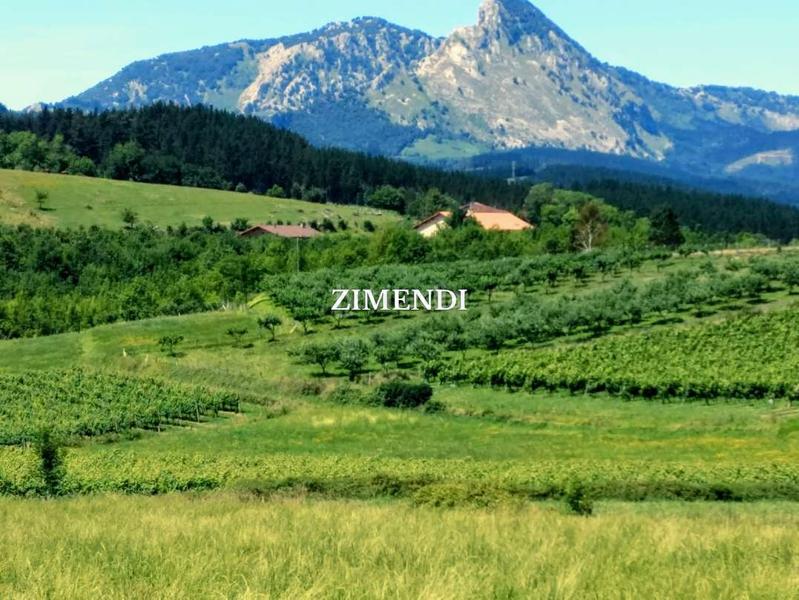 Foto 7ee5068c-0b06-464b-bb82-dae189a0da62. Finca rústica a Abadiño