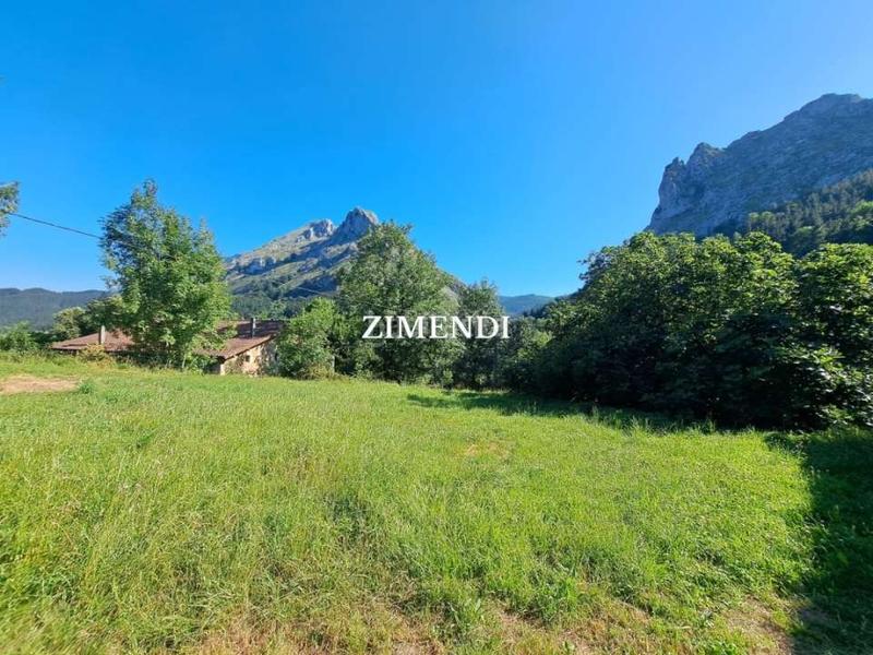 Foto ba85edf7-af74-46a2-9f83-55c085dcfa00. Masia a Abadiño