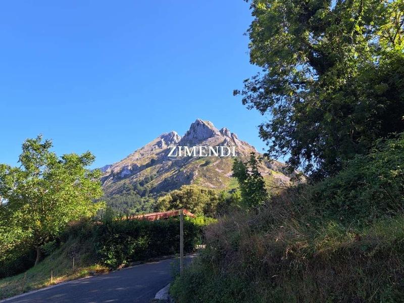 Foto d2e86e39-af0e-4f4c-afad-8343655278f1. Masia a Abadiño