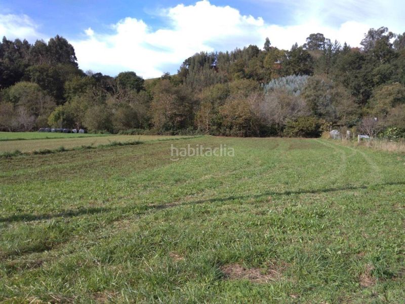 Foto 49262e4a-14eb-419e-aaf7-7f3890e4aade. Finca rústica a calle bernales 1 a Ampuero
