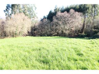 Terrain résidentiel  San pedro. Terreno en venta en seña