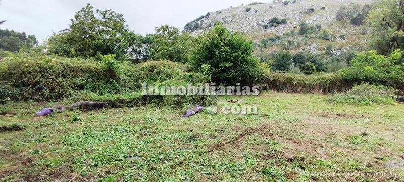 Foto 06794922-a0b1-476d-8f77-21a668e4a74c. Terreny residencial a barrio sámano-helguera 173b a Castro - Urdiales