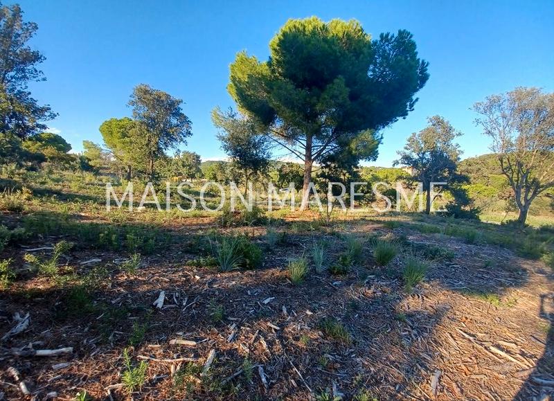 Foto 03d75776-1fda-4249-a71e-ff742b1af8a9. Finca rústica terreno rústico en venta en Zona alta Arenys de Mar