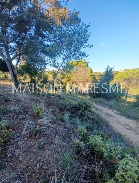 Foto 0992ad8e-18c5-48a4-b3f0-4fe74f89f24a. Finca rústica terreno rústico en venta en Zona alta Arenys de Mar