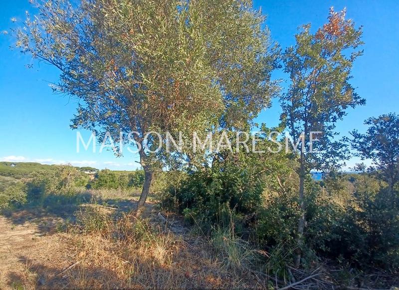 Foto 0f57d279-e088-499e-83d9-21c08481767b. Finca rústica terreno rústico en venta en Zona alta Arenys de Mar