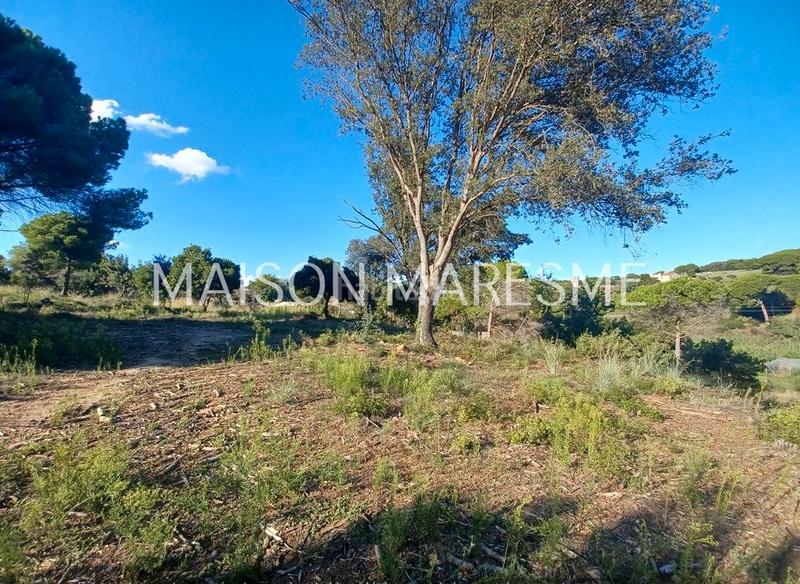 Foto 168e1c37-c855-4b87-aeea-bb8c09999b9a. Finca rústica terreno rústico en venta en Zona alta Arenys de Mar