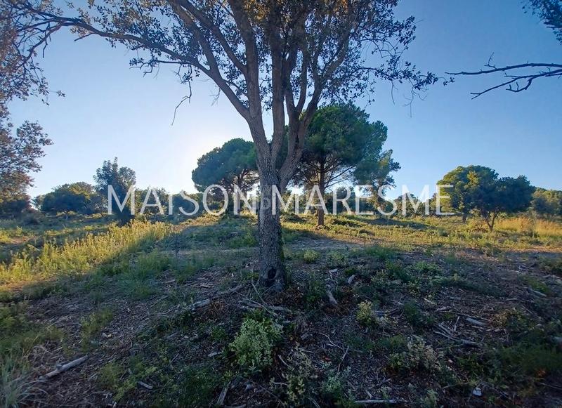 Foto 25fea361-f45c-43a2-8415-4ccb476148fa. Finca rústica terreno rústico en venta en Zona alta Arenys de Mar